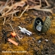 Condor - Kieszeń na drobne akcesoria Key Grenade Pouch - Coyote Brown - 221043-498